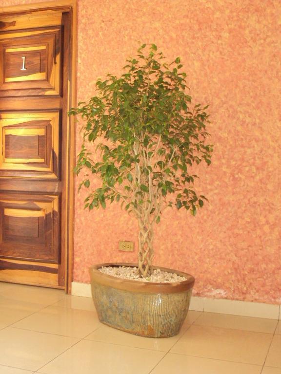 Hotel Aloha ماناجوا المظهر الخارجي الصورة